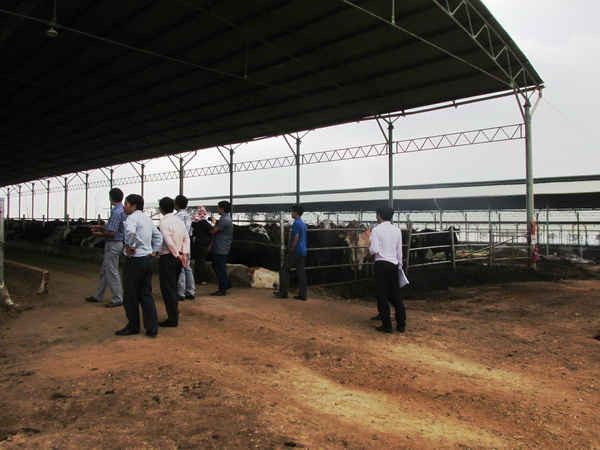 Đoàn thanh tra kiểm tra công tác bảo vệ môi trường của Công ty bò sữa Tây Nguyên.