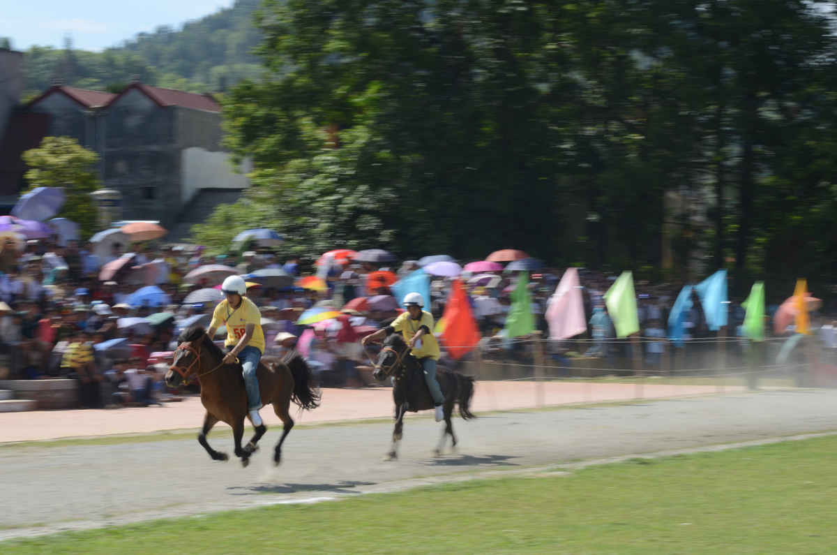 Hình ảnh thi đấu đầy kịch tính của cuộc Giải đua ngựa truyền thống huyện Bắc Hà năm 2015.