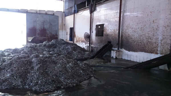 Nguyên liệu phục vụ sản xuất đổ tràn lan tại Công ty Ngọc Sơn