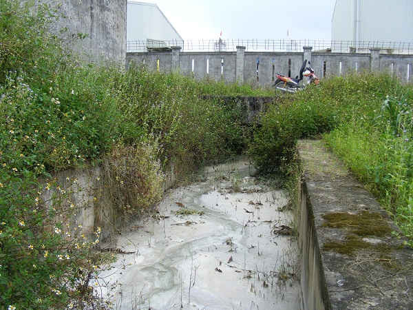 Nước thải chưa qua xử lý của Nhà máy bê tông Nghi Sơn 320 đổ thẳng ra mương chung của Khu công nghiệp Trường Thạch