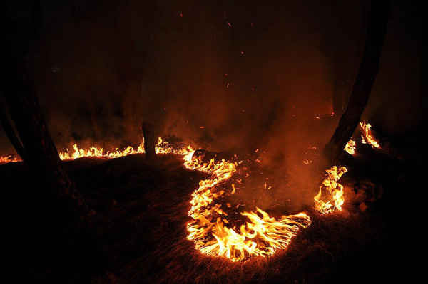 Một đám cháy rừng ở làng Bhati, Kangra. Ảnh: Sanjay Baid / EPA