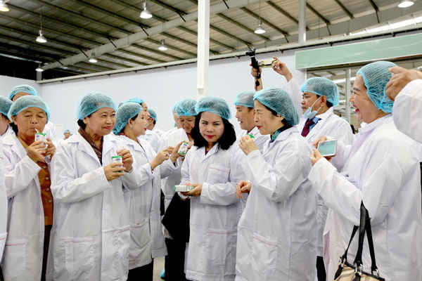 Bà Men Sam On - Phó Thủ tướng Chính phủ Vương quốc Campuchia cùng khách mời uống thử những sản phẩm sữa đầu tiên do Nhà máy sữa Angkor sản xuất