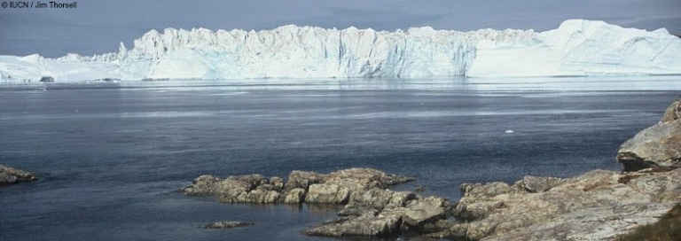 Vịnh băng Ilulissat, Đan Mạch. Ảnh: IUCN