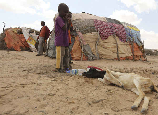 Những đứa trẻ đang sợ hãi nhìn vào con cừu của chúng. Đây là con cừu đã chết do ảnh hưởng bởi hạn hán, tại một nơi trú ẩn tạm thời trong thị trấn Maroodi Jeex ở miền nam Hargeysa, thuộc Somaliland, khu vực bán tự trị của Somalia. Ảnh: Feisal Omar / Reuters