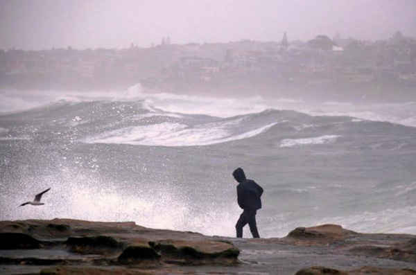 Một người đàn ông đi dọc theo vách đá khi những con sóng lớn đập vào bờ biển trong điều kiện thời tiết khắc nghiệt mang mưa to gió lớn ập vào bờ biển phía đông nước Úc, gần Bãi biển Coogee ở Sydney vào ngày 5/6/2016. Ảnh: REUTERS / DAVID GRAY