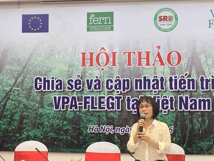 Bà Vũ Thị Bích Hợp - Giám đốc Điều hành Mạng lưới VNGO - FLEGT chia sẻ tại hội thảo