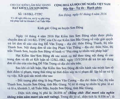 Toàn bộ hồ sơ vụ con trai Chủ tịch thị trấn Thanh Sơn phá rừng trái phép đã được chuyển qua Cơ quan CSĐT huyện Yên Dũng