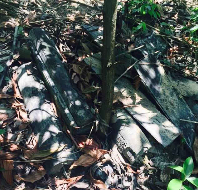 Những tấm gỗ còn sót lại trên phần diện tích rừng tự nhiên bị con trai Chủ tịch thị trấn Thanh Sơn chặt phá trái phép