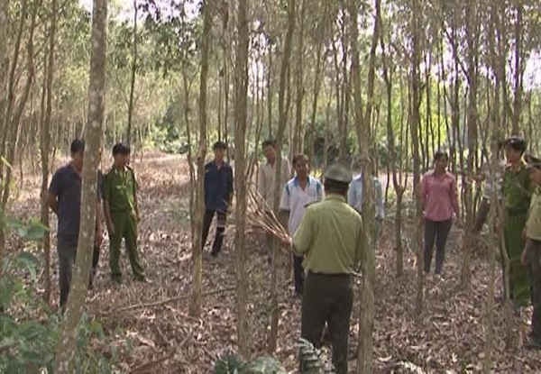 Tập huấn, tuyên truyền cho người dân về PCCR