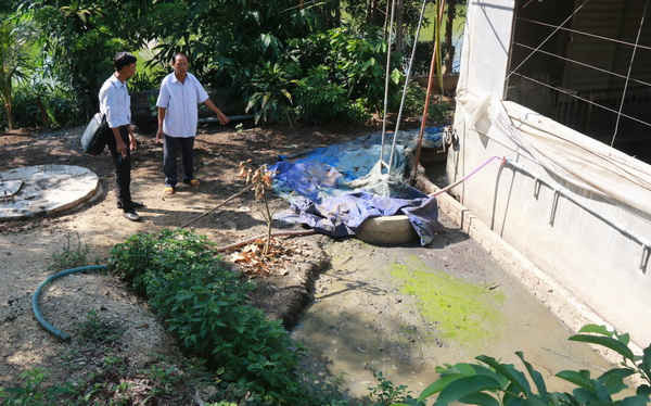Phân và nước thải từ trại heo của gia đình ông Song chảy lênh láng ra bên ngoài