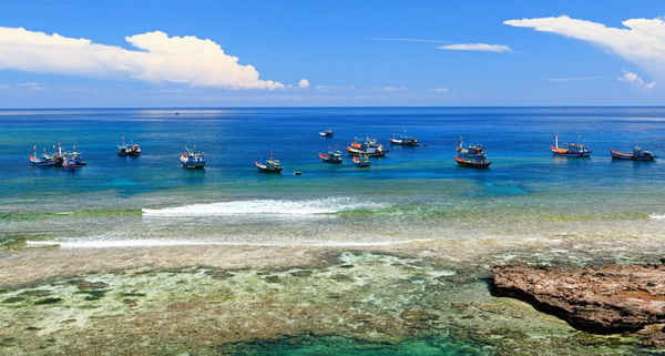 Việc hình thành Khu bảo tồn biển Lý Sơn sẽ góp phần bảo vệ hệ sinh thái biển
