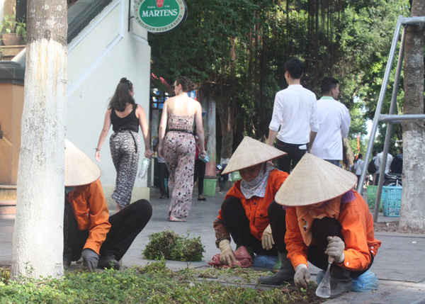 Tốp công nhân chăm sóc cỏ tại khu vực Hồ Hoàn Kiếm