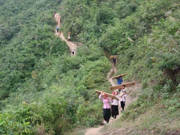 Người dân không có phương tiện để vận chuyển gỗ khi đến chu kỳ khai thác