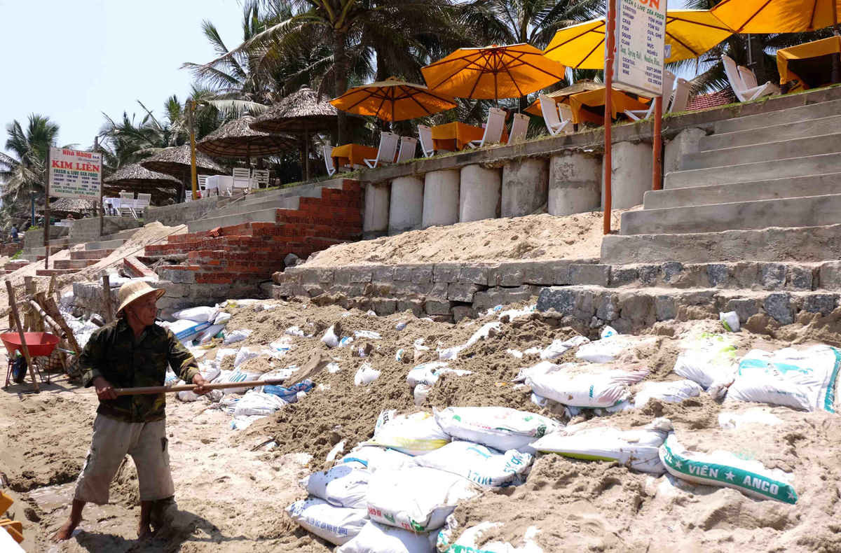 Tỉnh Quảng Nam đã đầu tư hàng trăm tỉ đồng để “ cứu nguy” bờ biển bằng các biện pháp khẩn cấp, tạm thời như: đóng cọc tre, đắp bao cát....