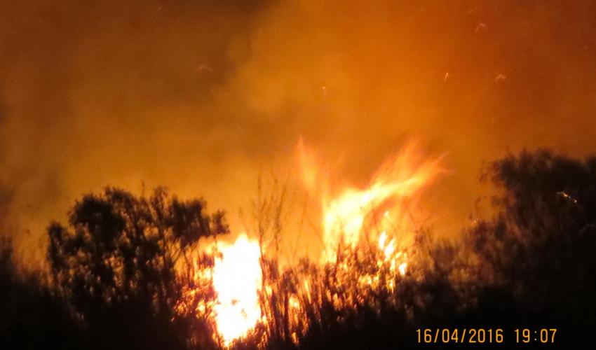 Cháy rừng ngập nước ở cộng đồng Balot xảy ra ngày 16/4/2016