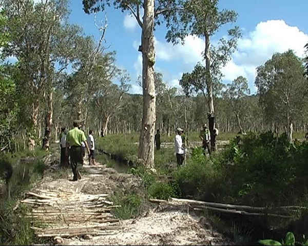 Lực lượng kiểm lâm thường xuyên kiểm tra rừng