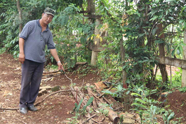 Hộ ông Nguyễn Văn Tú cùng bị thu hồi đất mặt tiền đường Trần Quý Cáp để thực hiện 2 dự án nhưng mức bồi thường lại quá chênh lệch.
