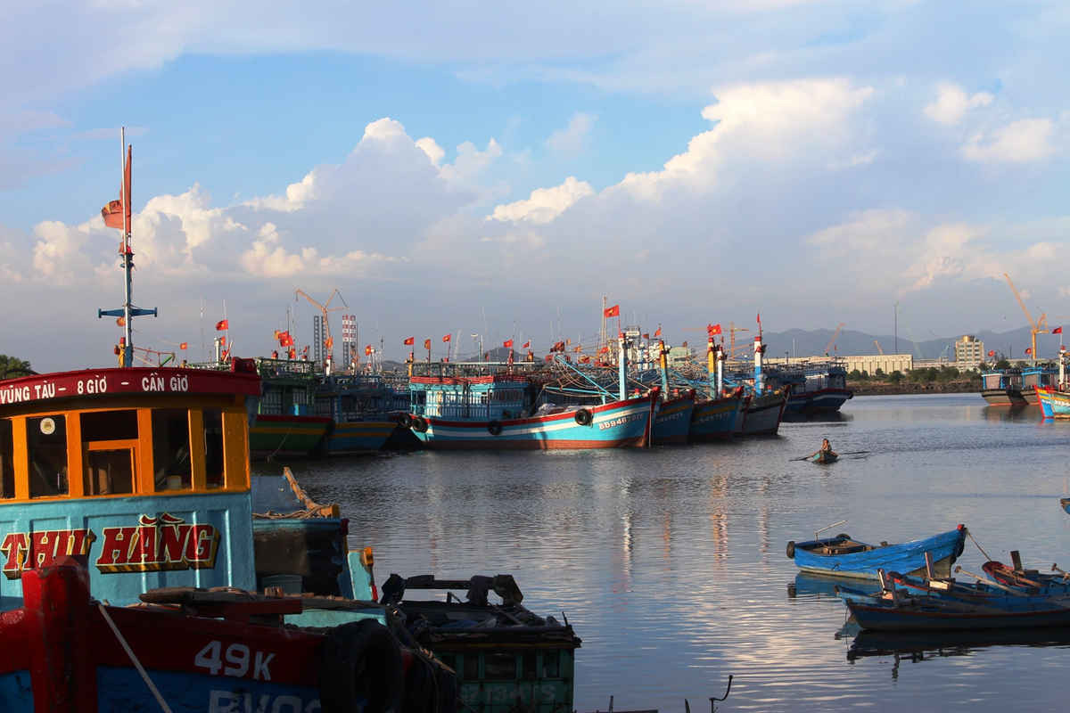 Hàng trăm tàu cá khu vực cảng Sao Mai Phường 3 Vũng Tàu ăn hàng sẵn sàng ra khơi