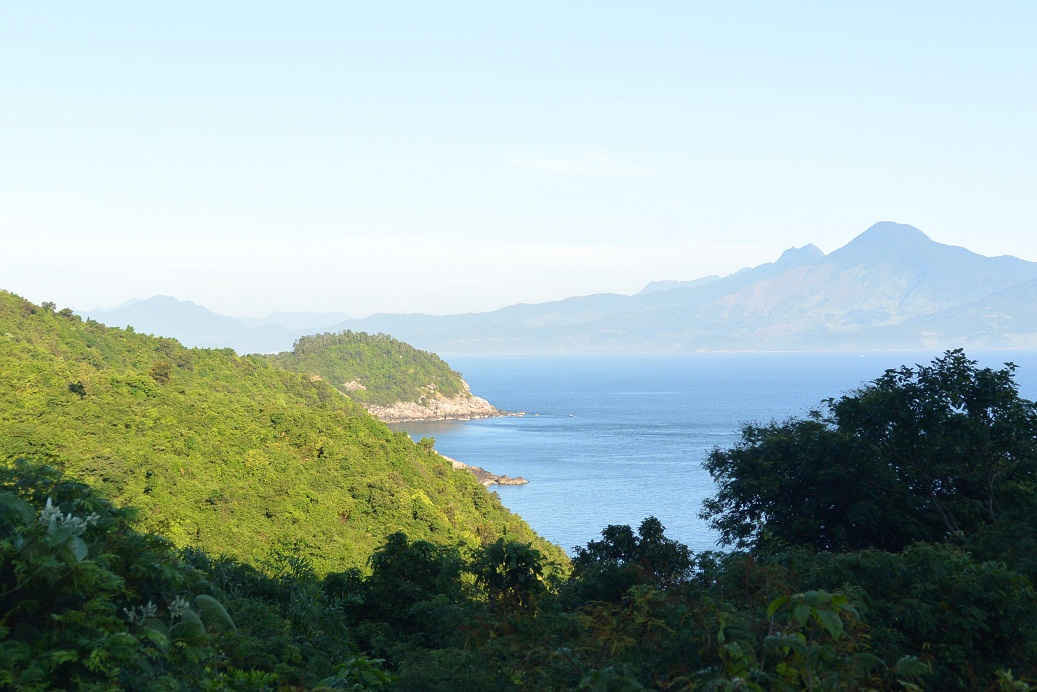 Bán đảo Sơn Trà – một trong 200 vùng sinh thái tiêu biểu toàn cầu