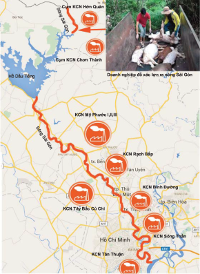 Vứt xác lợn chết gây ô nhiễm đầu nguồn và các khu công nghiệp bủa vây sông Sài Gòn. Infographic: B.T.K
