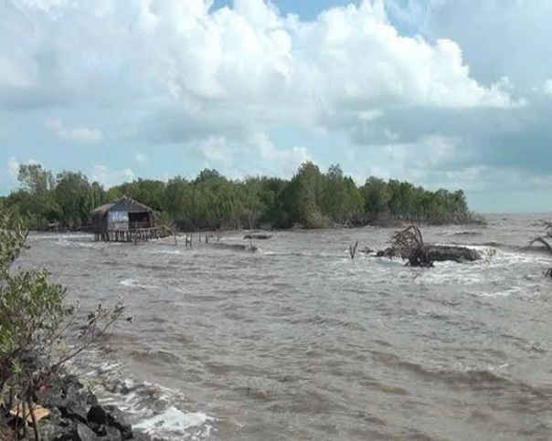 Bở biển tại huyện U Minh bị sạt lở nghiêm trọng