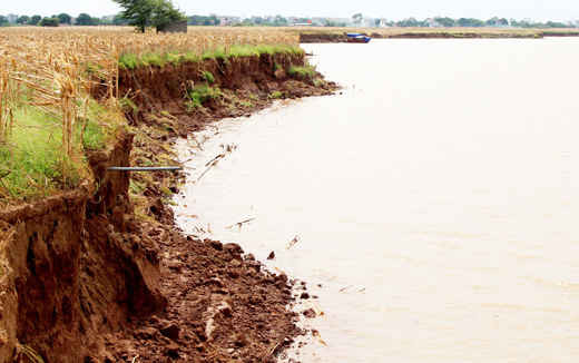 Hàng trăm nghìn mét vuông đất bồi xã Thái Tân đã bị mất do nạn cát tặc hoành hành.
