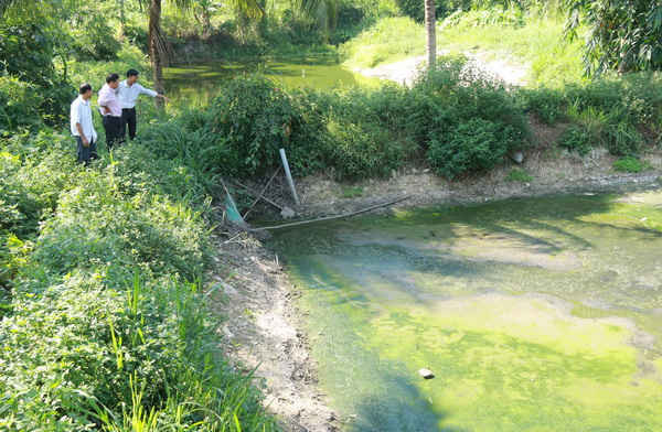 Hồ chứa nước thải chăn nuôi của một hộ dân ở xã Ea Đar (huyện Ea Kar, Đắk Lắk)