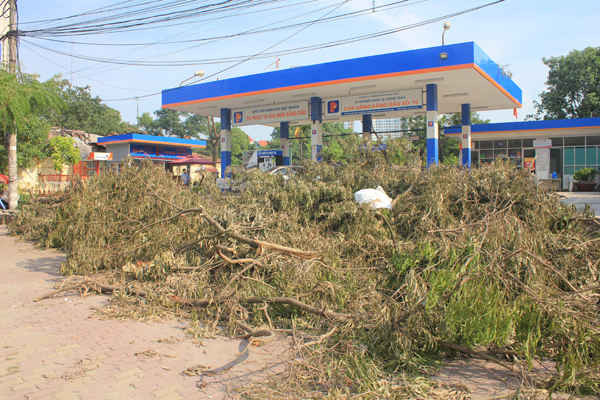 Cành, lá cây chất thành đống trên vỉa hè đường Nguyễn Xiển. Ảnh: Quyết Thắng