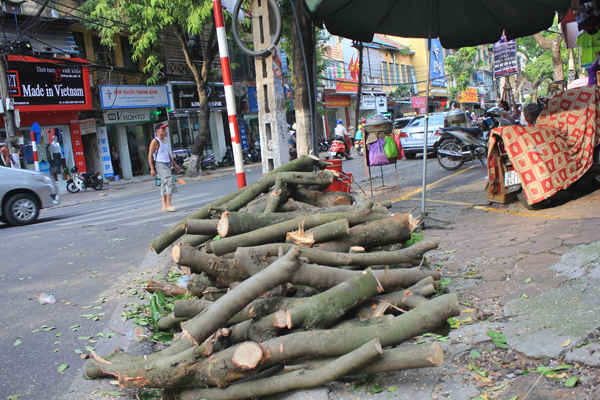 Cành cây gãy đổ bị cắt khúc, xếp thành đống tại đoạn vỉa hè giao giữa phố Trần Nhân Tông và Triệu Việt Vương. Ảnh: Quyết Thắng