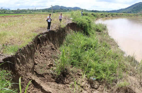 Bờ sông Krông Nô đoạn chảy qua xã Nâm Ndir bị sạt nhiều mét mỗi năm