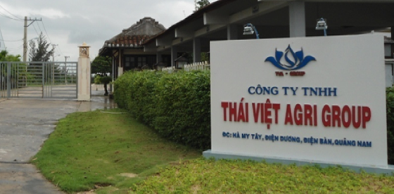 Công ty TNHH Thái Việt AGRI GROUP bị người dân phản ánh nhiều nhất về việc gây ô nhiễm môi trường trên địa bàn Phường Điện Dương