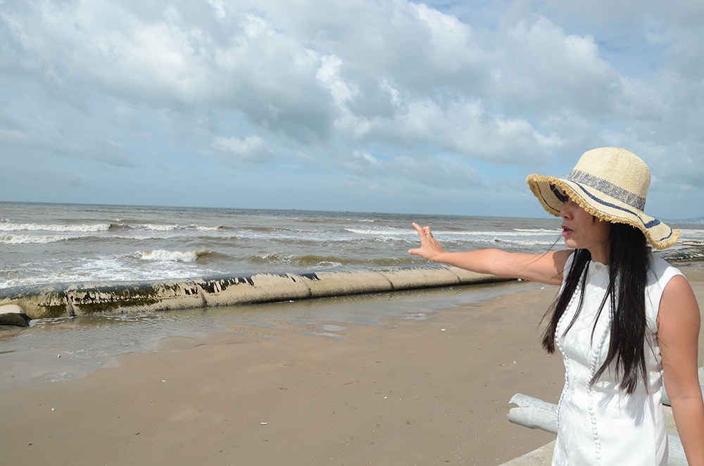 Công trình chống xói lở bờ biển của Công ty CP Rừng Dương phát huy tác dụng ngăn chặn sự sạt lở vùng bờ