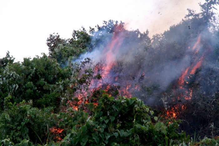 Theo những người dân có mặt tại đây, trưa ngày 19/8, họ nghe thấy một số tiếng nổ và sau đó rừng tại khu vực gần đám cháy ngày 17/8 tiếp tục bùng lửa dữ dội.