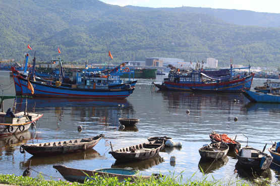 Âu thuyền Thọ Quang từng là điểm nóng ô nhiễm cũng đang dần hồi sinh nhờ quyết tâm giải quyết các điểm ô nhiễm của TP. Đà Nẵng