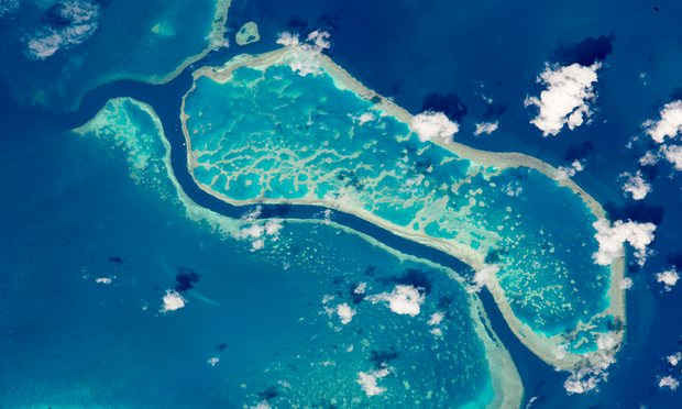 Rạn san hô Great Barrier Reef nhìn từ không gian. Các nhà khoa học nghiên cứu về rạn san hô là những chuyên gia hàng đầu đã viết thư cho Thủ tướng Úc Malcolm Turnbull để nhấn mạnh rằng thế giới đang trong 