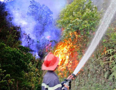 Trong 8 tháng đầu năm 2016, trên toàn tỉnh xảy ra 8 vụ cháy rừng, tổng diện tích thiệt hại 12 ha.