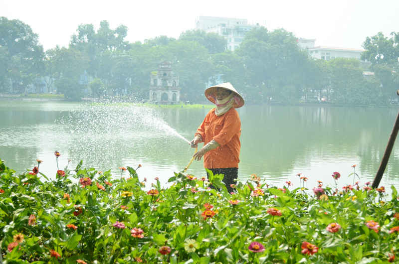 Việc chăm sóc hoa vào thời điểm này là rất quan trọng, mọi hoạt động dự kiến sẽ diễn ra tại Khu vực xung quanh hồ Hoàn Kiếm