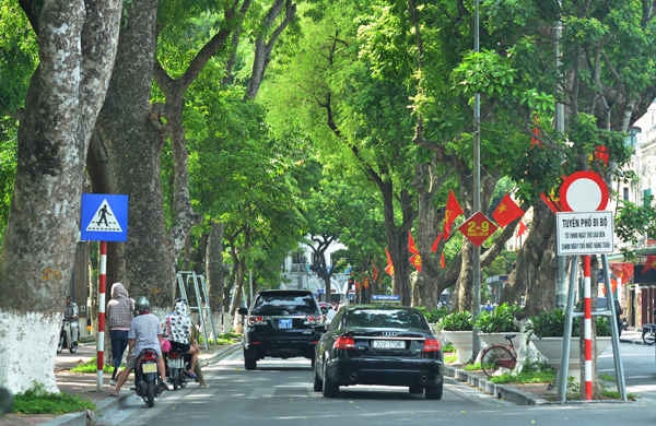 Phố Lê Thái Tổ, là khu phố tập trung khá đông các phương tiện lưu thông và nhiều du khách nước ngoài tới tham quan