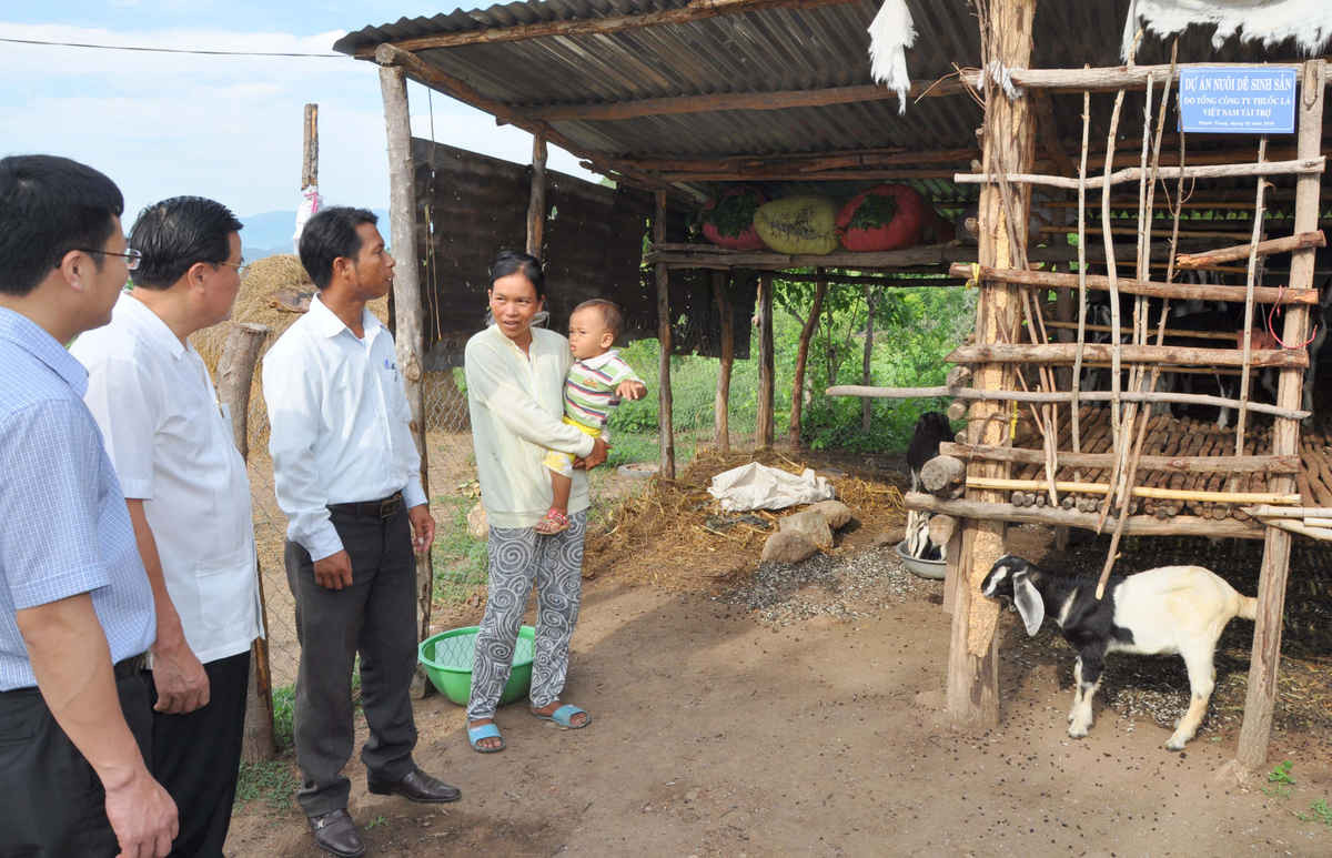 Mô hình nuôi dê lai sinh sản giúp bà con đồng bào dân tộc thoát nghèo tại xã Phước Trung (huyện Bác Ái, Ninh Thuận) do Vinataba tài trợ. 