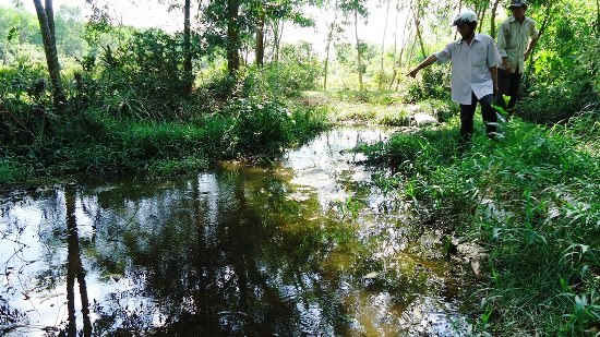 Nước thải xả trực tiếp ra môi trường tràn vào đất sản xuất của người dân 2 thôn Mỹ Thạch và Hòa Mỹ làm hư hại cây trồng.