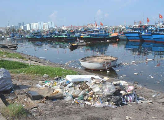Theo kết qủa kiểm tra của các cơ quan chức năng Đà Nẵng mới đây, nhận thấy, tại âu thuyền Thọ Quang chưa có phương án thu gom nước thải, rác thải phát sinh từ các tàu neo đậu tại khu vực