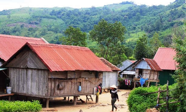 Người dân xã vùng cao Canh Liên thiếu đất sản xuất, trong khi một số đơn vị lâm nghiệp thừa hàng ngàn héc ta đất không sử dụng. 