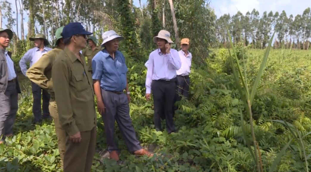 Kiểm tra đất rừng giao khoán,đất rừng giao khoán cho hộ dân trồng rừng kết hợp nuôi tôm tại rừng phòng hộ An Biên-An Minh