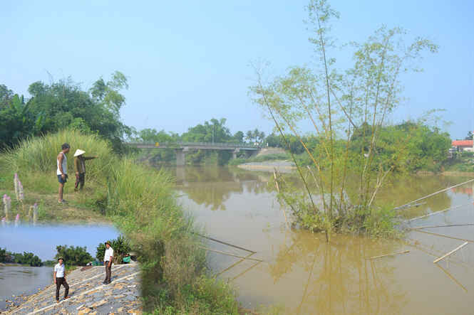 Sông Yên đã được đầu tư nhiều đoan kè nhưng vẫn còn không ít đoạn bờ sông bị sạt lỡ nghiêm trọng, rất cần có một bờ kè vĩnh cửu lâu dài