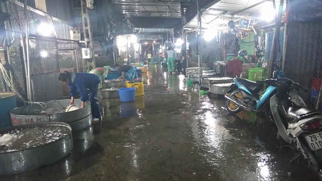 Chợ cá Yên Sở vắng hoe sau khi cá Hồ Tây chết