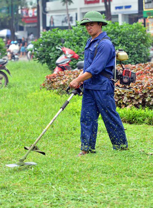 Việc cỏ dại mọc um tùm khiến những công nhân gặp rất nhiều khó khăn