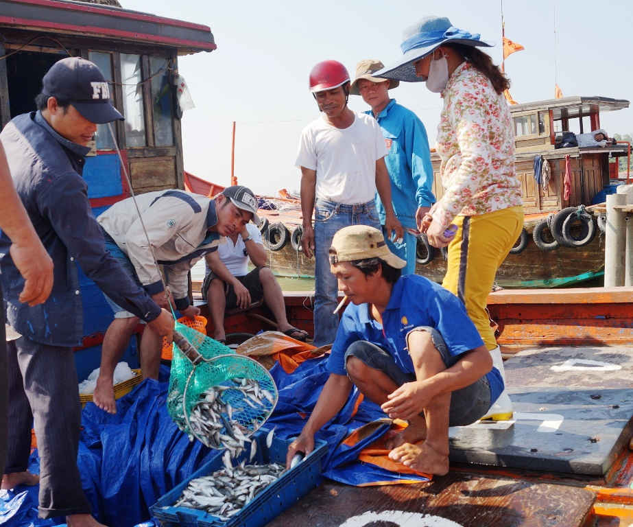 Quảng Ngãi dừng cấp phép đóng mới tàu giã cào từ ngày 1.12.2015
