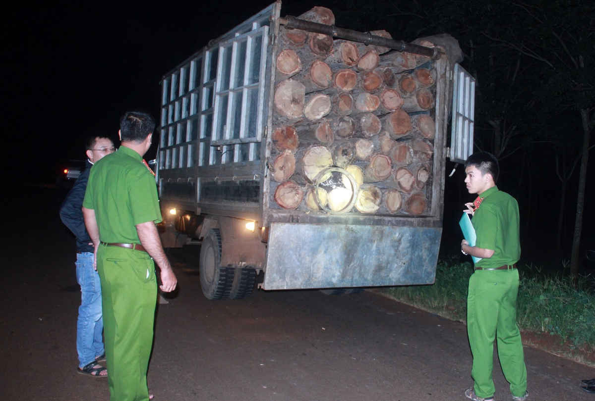  Lực lượng Công an huyện Ea H’leo đã xuống hiện trường để xác minh, làm rõ việc vận chuyển gỗ