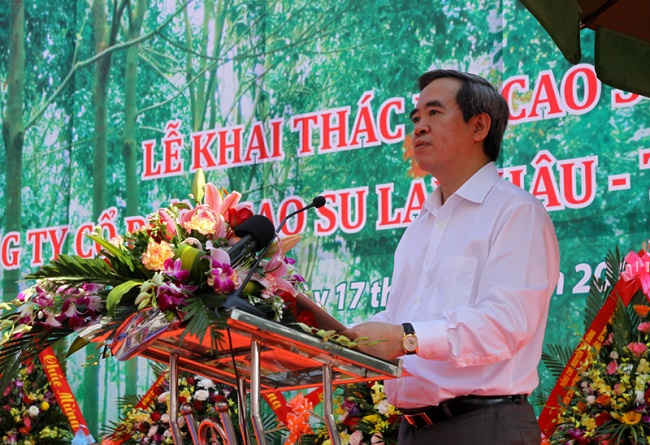 Ông Nguyễn Văn Bình phát biểu tại lễ khai thác mủ cao su Lai Châu.