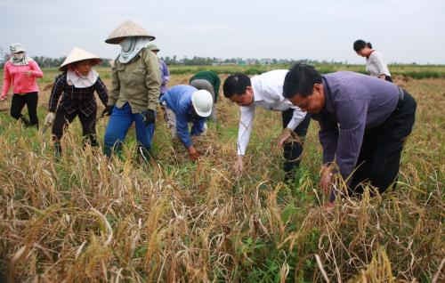 TP. Hải Phòng yêu cầu nhân dân tập trung chống bão